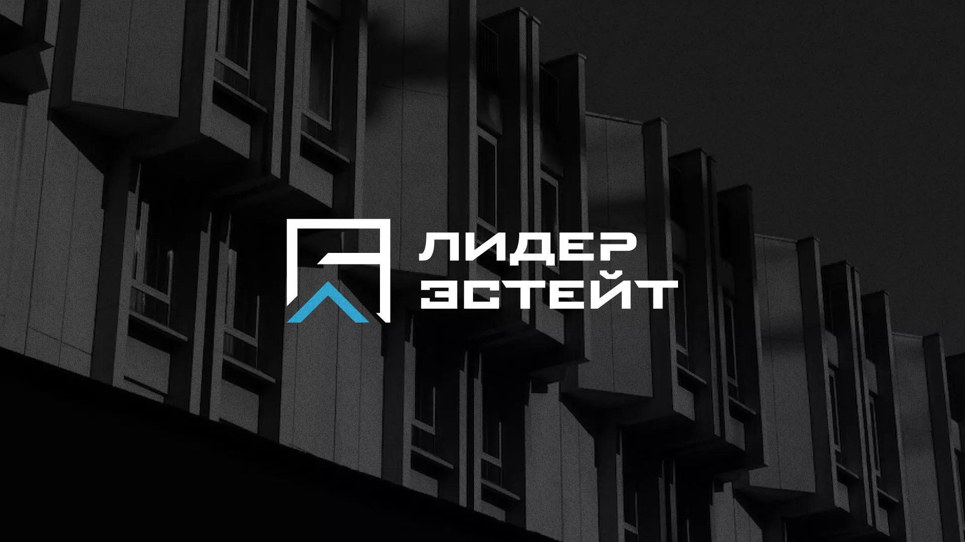 Разработка логотипа агентства недвижимости «Лидер Эстейт» в Приморско-Ахтарске